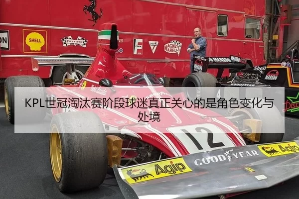 KPL世冠淘汰赛阶段球迷真正关心的是角色变化与处境